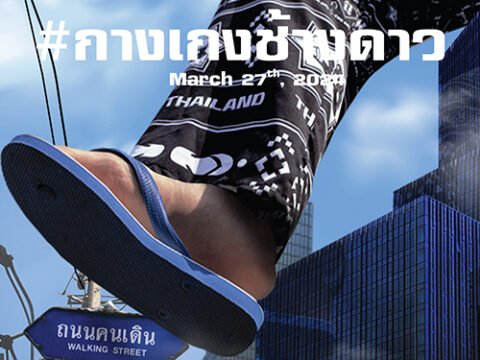 กางเกงช้างดาว