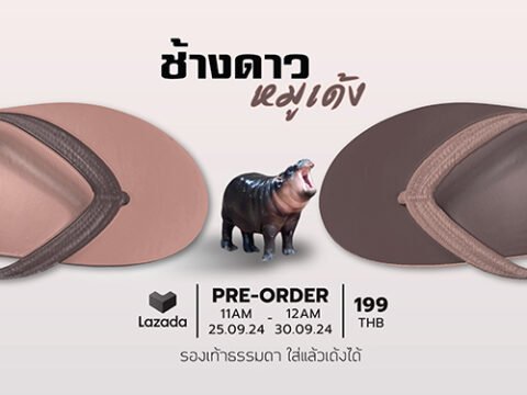 หมูเด้ง